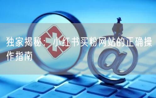 独家揭秘：小红书买粉网站的正确操作指南