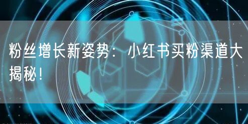 粉丝增长新姿势：小红书买粉渠道大揭秘！