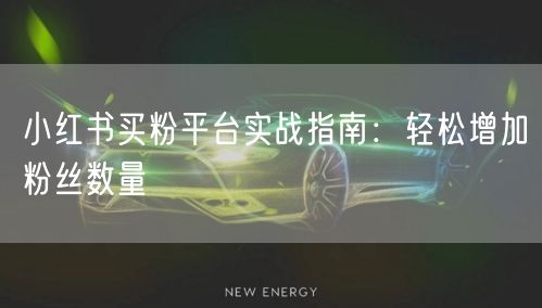 小红书买粉平台实战指南：轻松增加粉丝数量