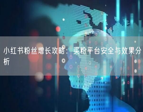小红书粉丝增长攻略：买粉平台安全与效果分析