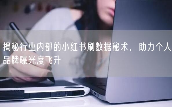 揭秘行业内部的小红书刷数据秘术，助力个人