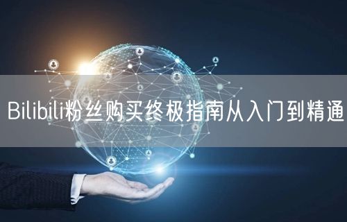 Bilibili粉丝购买终极指南从入门到精通