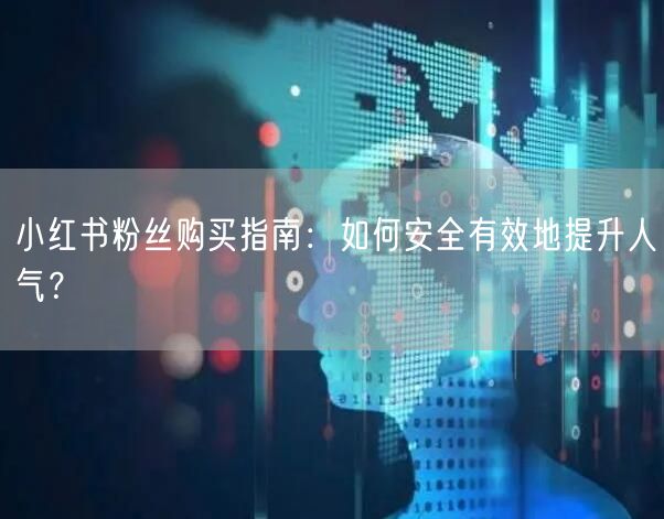 小红书粉丝购买指南：如何安全有效地提升人气？
