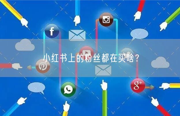 小红书上的粉丝都在买啥？