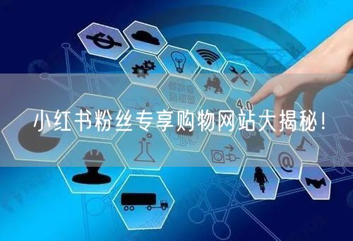小红书粉丝专享购物网站大揭秘！