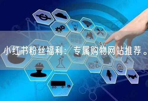 小红书粉丝福利：专属购物网站推荐。