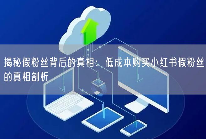 揭秘假粉丝背后的真相：低成本购买小红书假粉丝的真相剖析