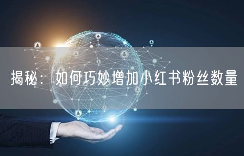 揭秘：如何巧妙增加小红书粉丝数量