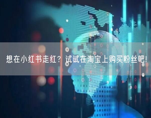 想在小红书走红？试试在淘宝上购买粉丝吧!