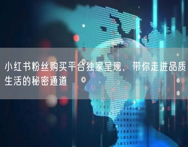小红书粉丝购买平台独家呈现，带你走进品质生活的秘密通道
