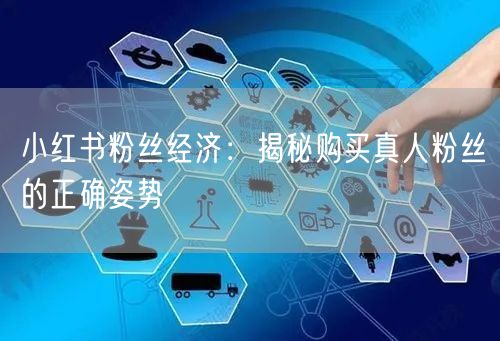 小红书粉丝经济：揭秘购买真人粉丝的正确姿势