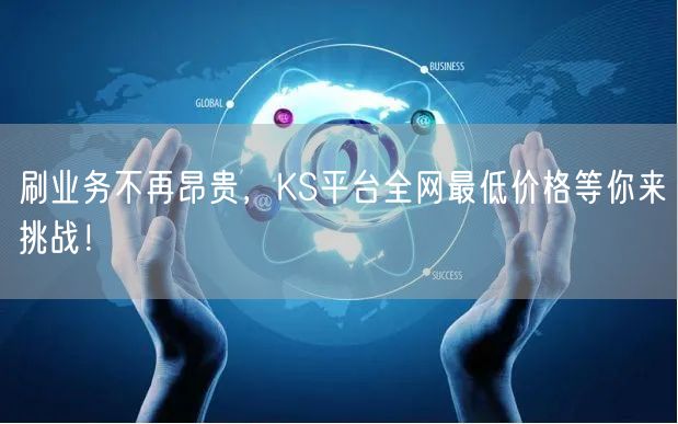 刷业务不再昂贵，KS平台全网最低价格等你来挑战！