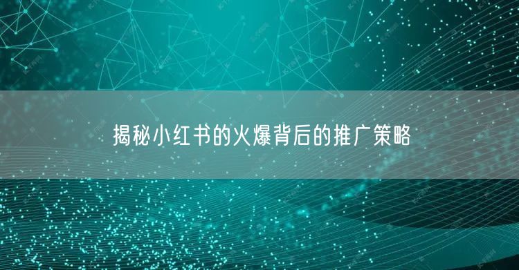 揭秘小红书的火爆背后的推广策略