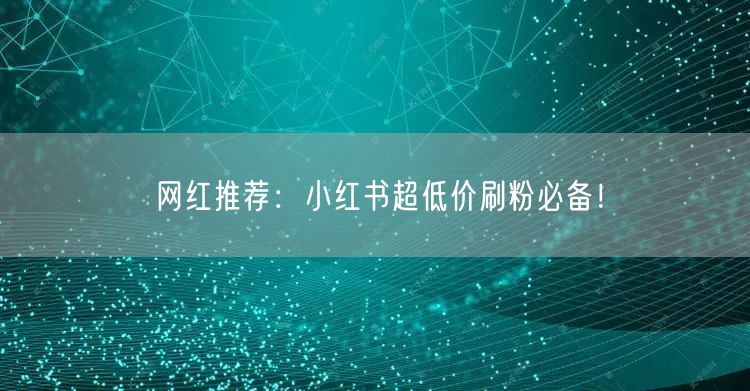 网红推荐：小红书超低价刷粉必备！