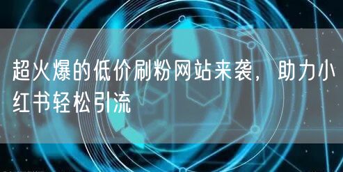 超火爆的低价刷粉网站来袭，助力小红书轻松引流