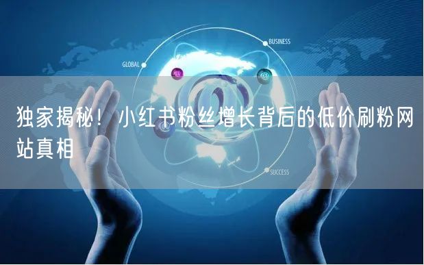 独家揭秘！小红书粉丝增长背后的低价刷粉网站真相