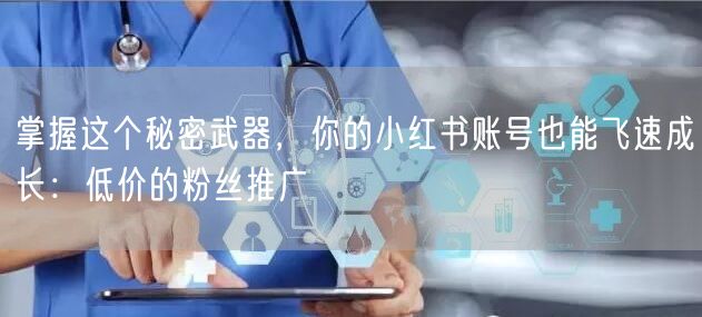 掌握这个秘密武器，你的小红书账号也能飞速成长：低价的粉丝推广