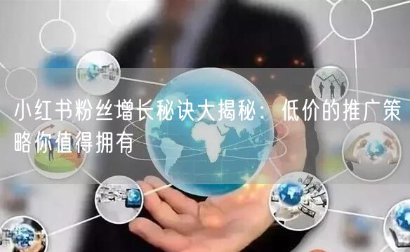 小红书粉丝增长秘诀大揭秘：低价的推广策略你值得拥有