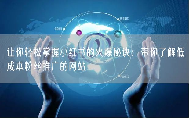 让你轻松掌握小红书的火爆秘诀：带你了解低成本粉丝推广的网站