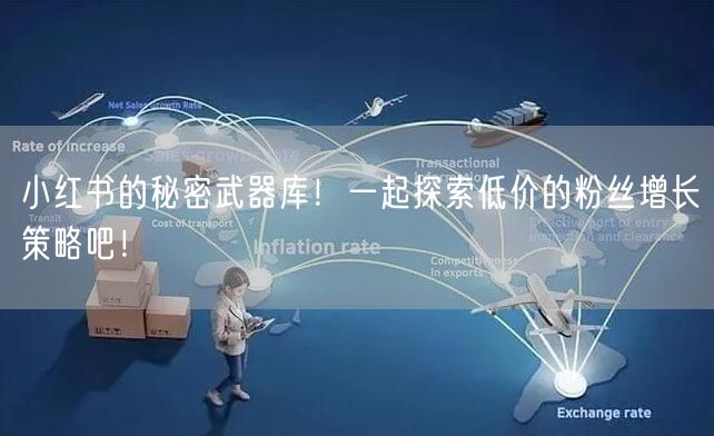 小红书的秘密武器库！一起探索低价的粉丝增长策略吧！