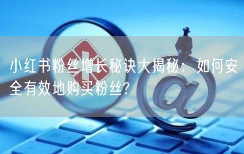 小红书粉丝增长秘诀大揭秘：如何安全有效地购买粉丝?