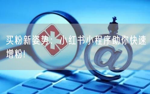 买粉新姿势：小红书小程序助你快速增粉!