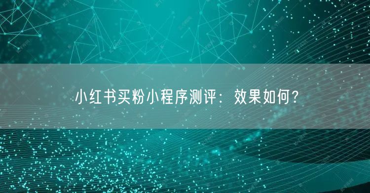 小红书买粉小程序测评：效果如何？