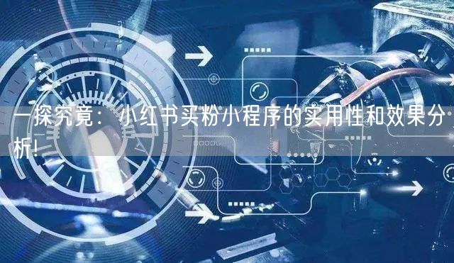 一探究竟：小红书买粉小程序的实用性和效果分析!