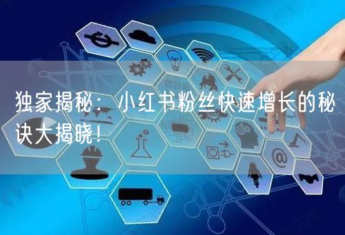 独家揭秘：小红书粉丝快速增长的秘诀大揭晓！