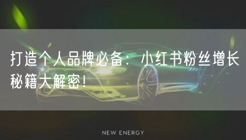 打造个人品牌必备：小红书粉丝增长秘籍大解密！