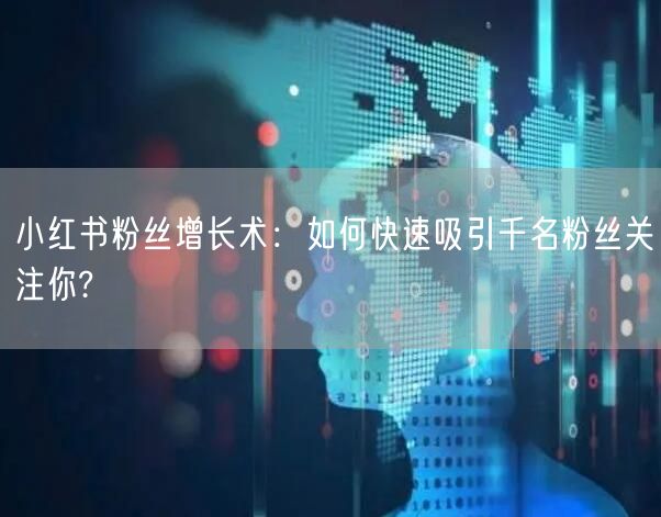 小红书粉丝增长术：如何快速吸引千名粉丝关注你?