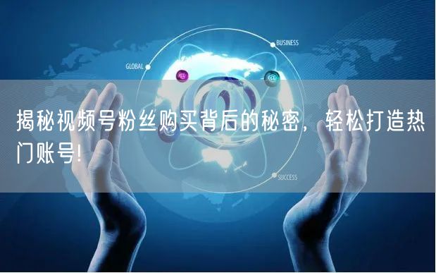 揭秘视频号粉丝购买背后的秘密，轻松打造热门账号!