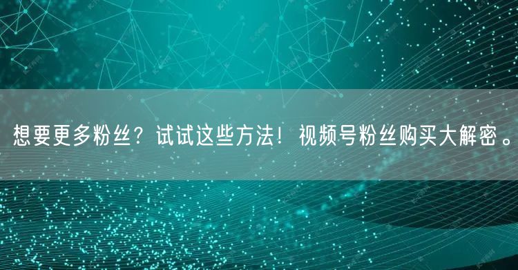 想要更多粉丝？试试这些方法！视频号粉丝购买大解密。