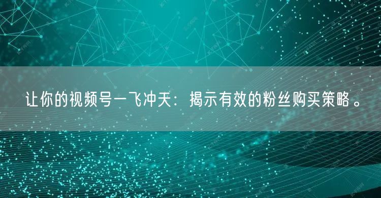 让你的视频号一飞冲天：揭示有效的粉丝购买策略。