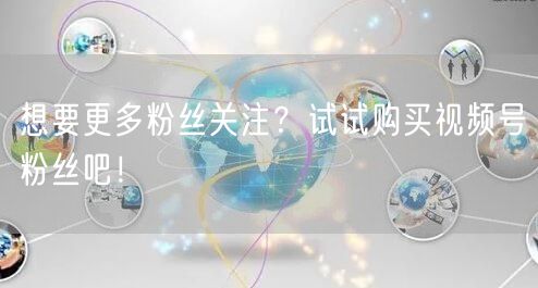 想要更多粉丝关注？试试购买视频号粉丝吧！