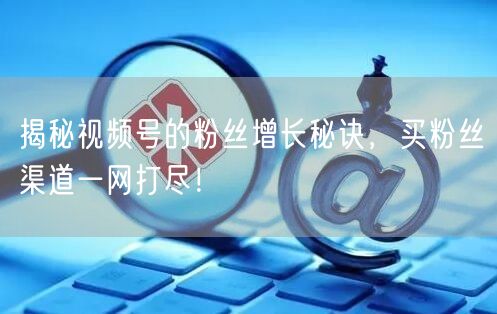 揭秘视频号的粉丝增长秘诀，买粉丝渠道一网打尽！