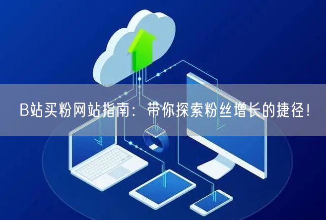 B站买粉网站指南：带你探索粉丝增长的捷径！