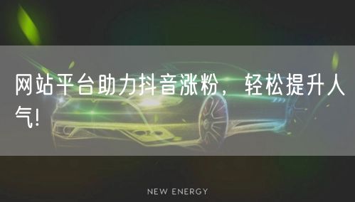 网站平台助力抖音涨粉,轻松提升人气!