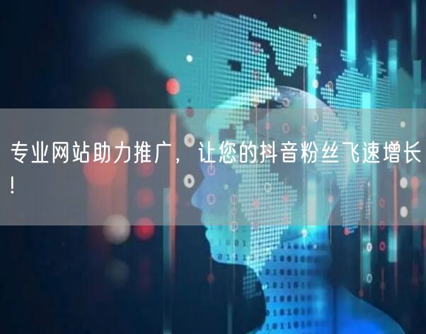 专业网站助力推广,让您的抖音粉丝飞速增长!