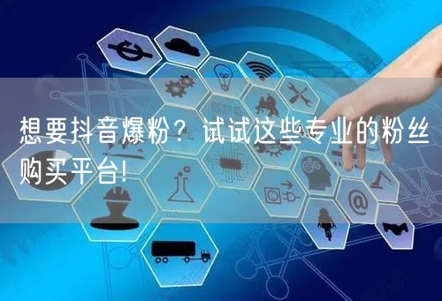想要抖音爆粉？试试这些专业的粉丝购买平台!