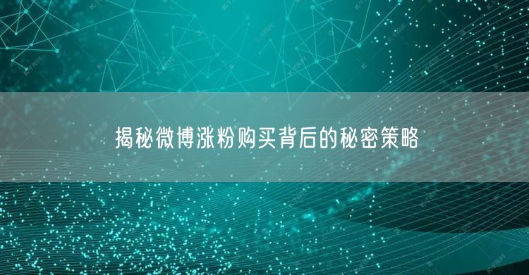 揭秘微博涨粉购买背后的秘密策略