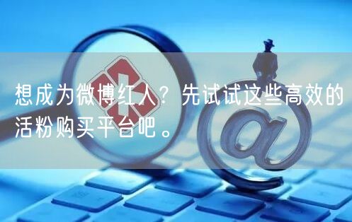 想成为微博红人？先试试这些高效的活粉购买平台吧。