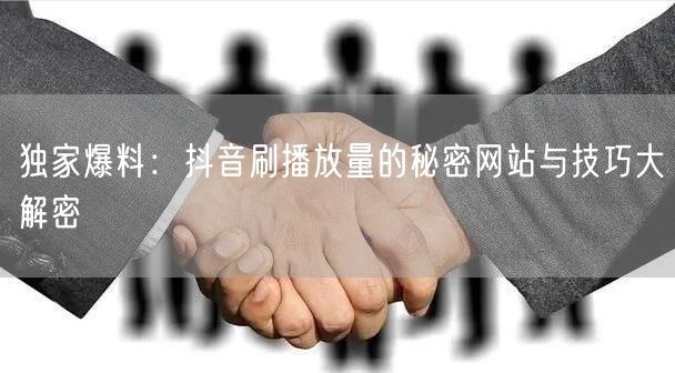 独家爆料：抖音刷播放量的秘密网站与技巧大解密