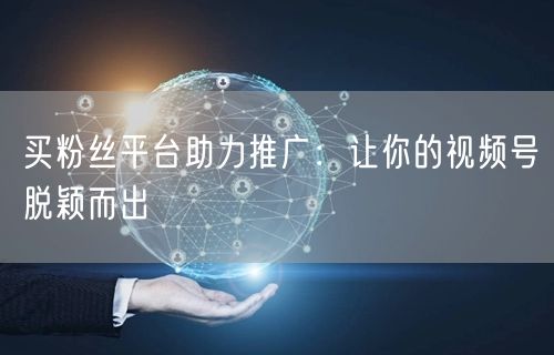 买粉丝平台助力推广：让你的视频号脱颖而出