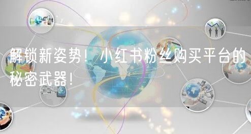 解锁新姿势！小红书粉丝购买平台的秘密武器！