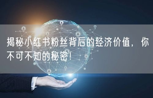 揭秘小红书粉丝背后的经济价值，你不可不知的秘密！