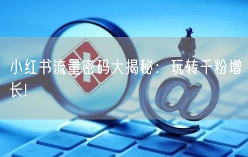 小红书流量密码大揭秘：玩转千粉增长!
