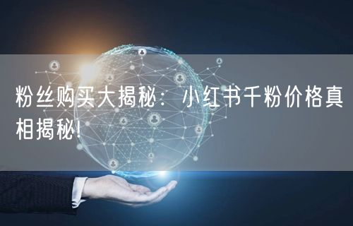 粉丝购买大揭秘：小红书千粉价格真相揭秘!