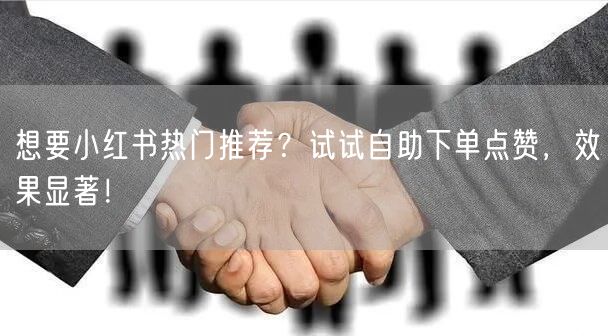 想要小红书热门推荐？试试自助下单点赞，效果显著！