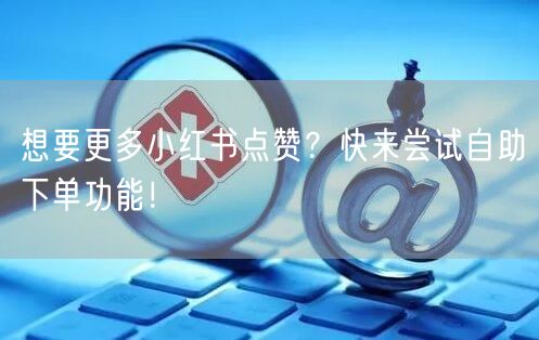 想要更多小红书点赞？快来尝试自助下单功能！
